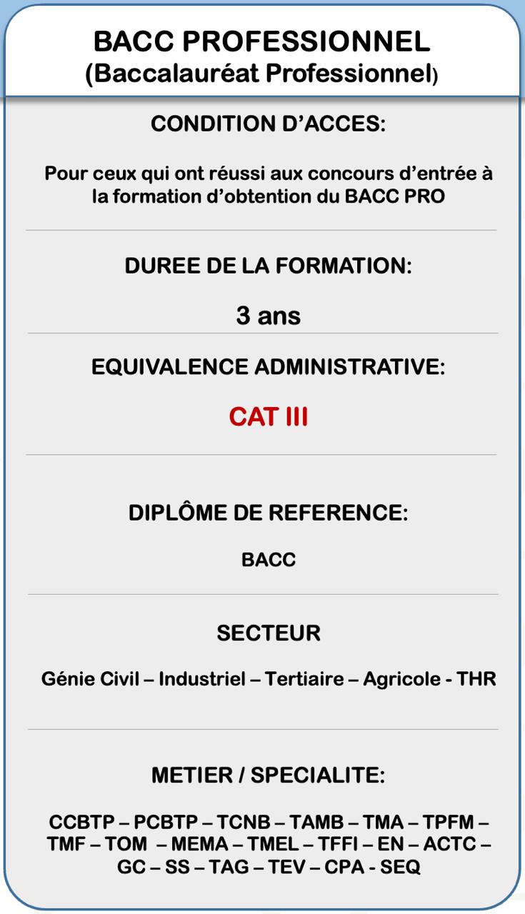 BACC PROFESSIONNEL